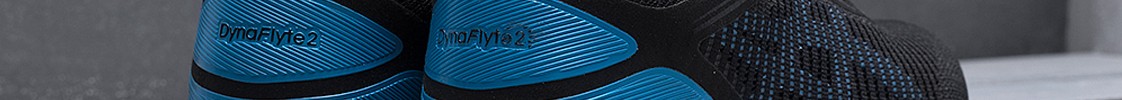 ASICS DYNAFLYTE 2