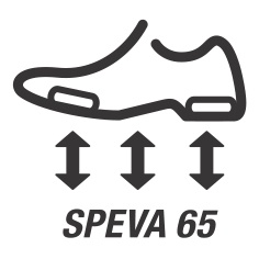 SpEVA 65 /    65 