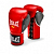 EVERLAST POWERLOCK