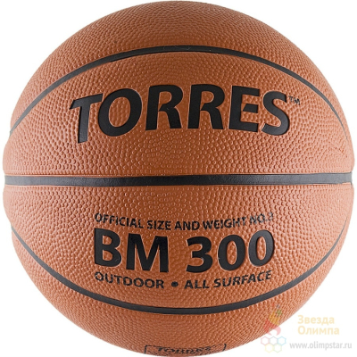 TORRES BM300