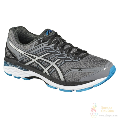 ASICS GT-2000 5 (2E)