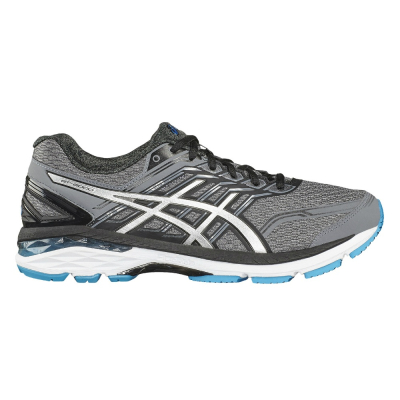 ASICS GT-2000 5 (2E)