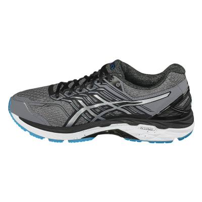 ASICS GT-2000 5 (2E)