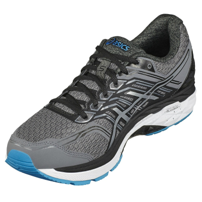 ASICS GT-2000 5 (2E)