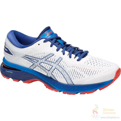 ASICS GEL-KAYANO 25