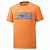 MIZUNO IMPULSE CORE WILD BIRD TEE
