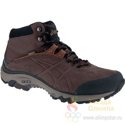 ASICS GEL-ARATA MT G-TX