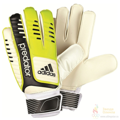 ADIDAS PREDATOR TRAINING