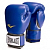 EVERLAST PU PRO STYLE ANTI-MB YOUTH 8OZ