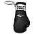 EVERLAST MINI BOXING GLOVE