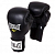EVERLAST 141601U